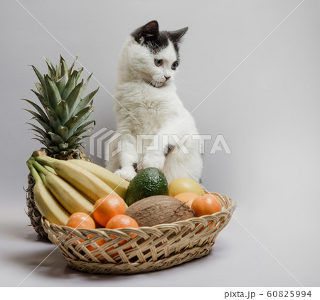 kitten with black and white fur next to a fruit basket 60825994