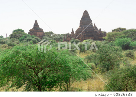 バガン遠景 バガン遠景 60826338