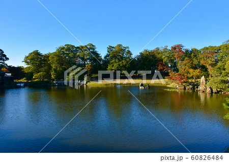 彦根城 玄宮園 魚躍沼 彦根城 玄宮園 魚躍沼 60826484