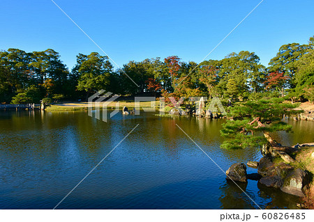 彦根城　玄宮園　魚躍沼 60826485