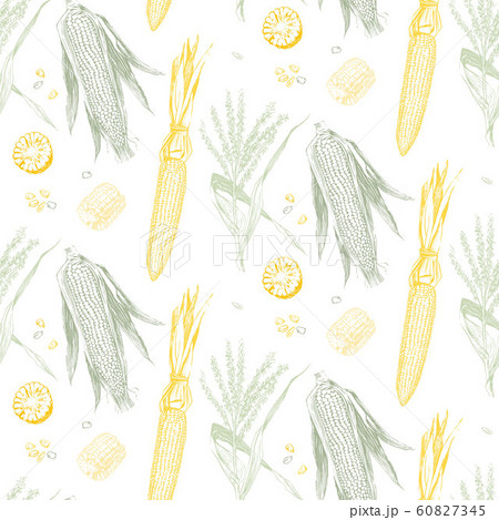 Corn on the cob vintage design seamless pattern 60827345