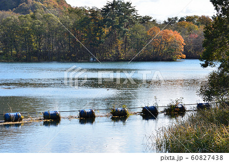 十六橋水門を見に行きました　　＃24 60827438