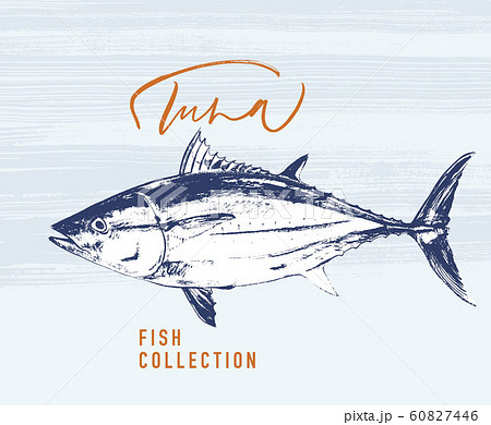 Tuna Fish Brush Illustration For Logoのイラスト素材