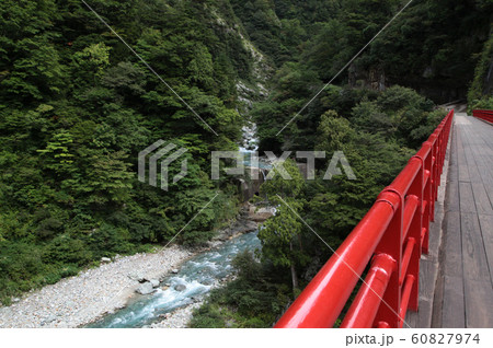 黒部峡谷・欅平の黒部川にかかる奥鐘橋 60827974