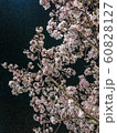 春 60828127