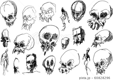 many hand drawn sketches skulls nad scary horror creatures and beasts 60828296