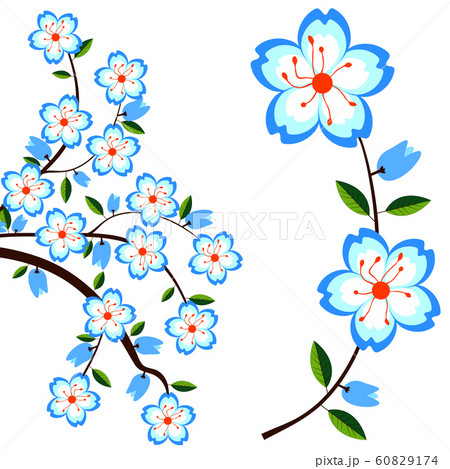 Sakura for your design. Vector  EPS 10 60829174