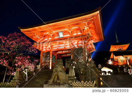 夜の清水寺と慈悲の光 60829303