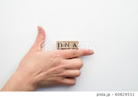 イメージ DNA イメージ DNA 60829531