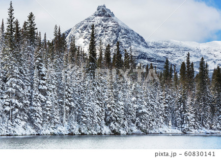 Glacier Park in winter 60830141