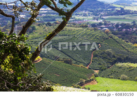 Costa Rica landscapes Costa Rica landscapes 60830150