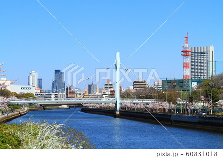 名古屋市　春の白鳥公園周辺の風景 60831018