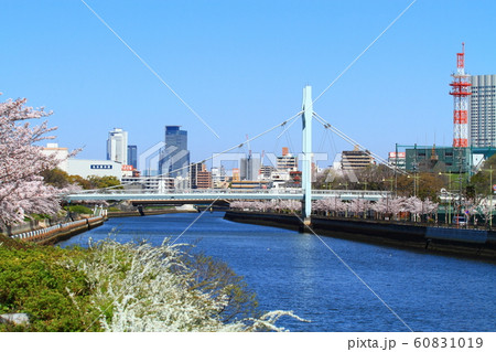 名古屋市　春の白鳥公園周辺の風景 60831019