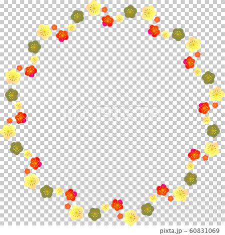 紅白梅花圖 紅白梅花線圓形-插圖素材[60831069] - PIXTA圖庫