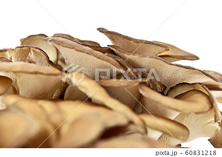 きのこ（舞茸） 60831218