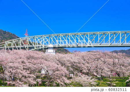 境台場公園(桜名所)境港灯台 境台場公園(桜名所)境港灯台 60832511