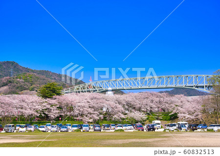 境台場公園（桜名所）境港灯台 60832513