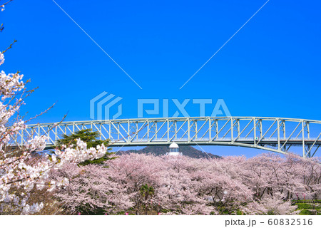 境台場公園（桜名所）境港灯台 60832516