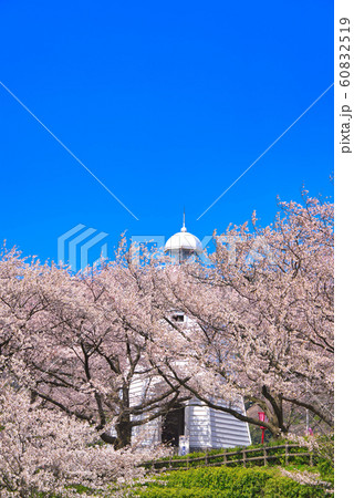 境台場公園（桜名所）境港灯台 60832519