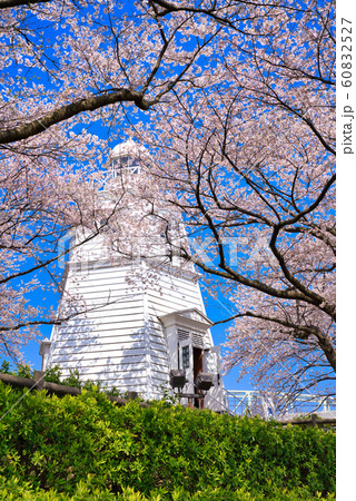 境台場公園(桜名所)境港灯台 境台場公園(桜名所)境港灯台 60832527