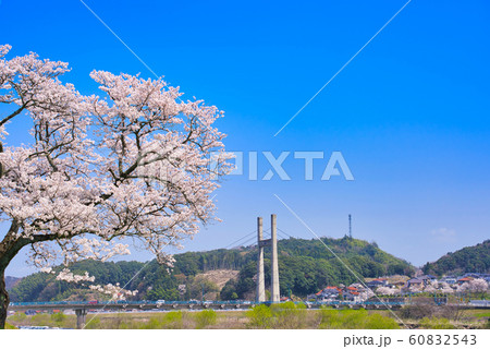 斐伊川堤防桜並木　木次大橋 60832543
