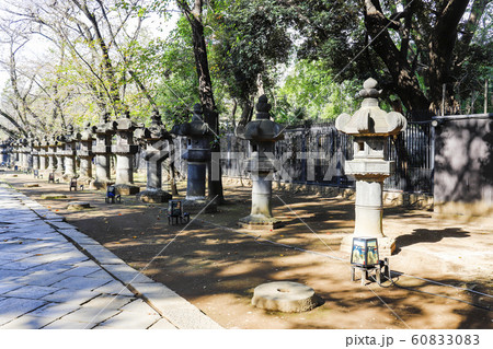 【東京都】上野東照宮・石灯籠 【東京都】上野東照宮・石灯籠 60833083
