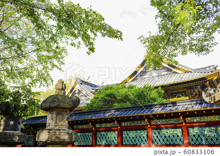 【東京都】上野東照宮・国指定重要文化財 透塀と社殿 【東京都】上野東照宮・国指定重要文化財 透塀と社殿 60833106