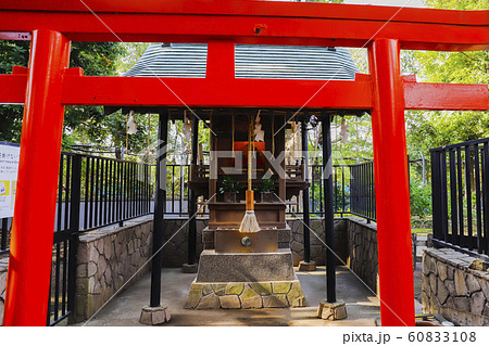 【東京都】上野東照宮・栄誉権現社 【東京都】上野東照宮・栄誉権現社 60833108