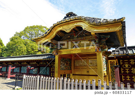 【東京都】上野東照宮・国指定重要文化財 唐門 【東京都】上野東照宮・国指定重要文化財 唐門 60833117