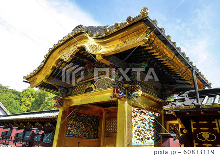 【東京都】上野東照宮・国指定重要文化財 唐門 【東京都】上野東照宮・国指定重要文化財 唐門 60833119