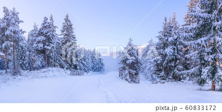 Ski resort Bansko, Bulgaria, slope panorama 60833172