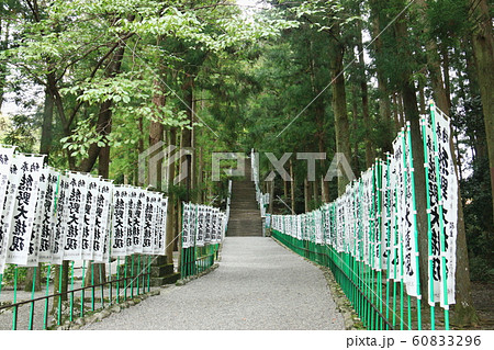 紀伊山地世界遺産　霊場と参詣道　熊野三山　熊野本宮大社参道 60833296
