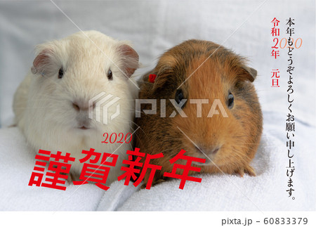 子年　年賀状　素材 60833379