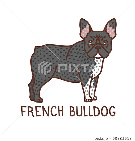 Isolated French Bulldog in Hand Drawn Doodle Style Isolated French Bulldog in Hand Drawn Doodle Style 60833618
