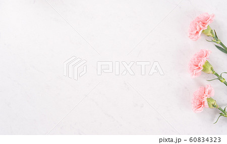 カーネーション ハマナデシコ 母の日 60834323