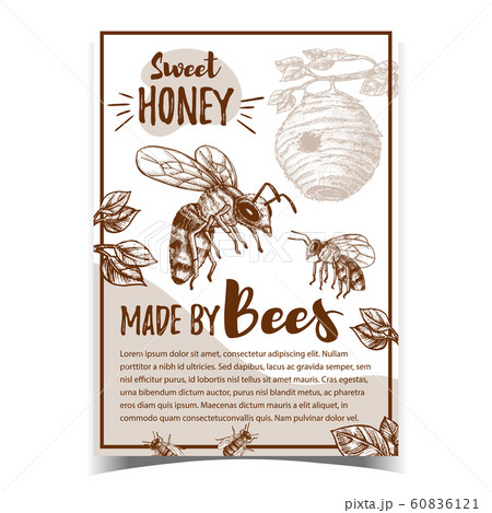 Bee Insect And Natural Beehive House Poster Vector Bee Insect And Natural Beehive House Poster Vector 60836121