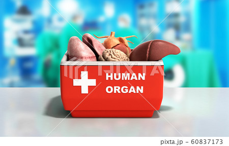organ transportation concept open human organ 60837173