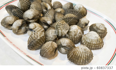 Delicious boiled cockle 60837337