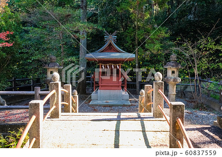 田辺市 闘鶏神社 鶏姫弁財天神社 60837559