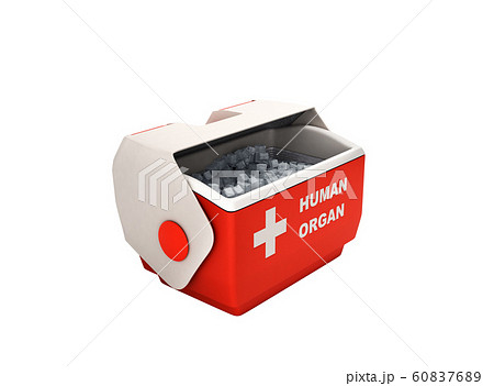 open human organ refrigerator box red 3d render no 60837689