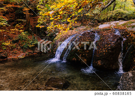 Waterfall in autumn golden forest Waterfall in autumn golden forest 60838165