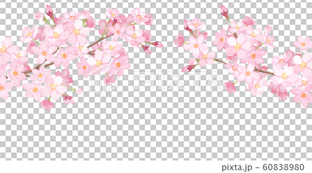 春の花:さくらのアーチ型フレーム 水彩イラスト 春の花:さくらのアーチ型フレーム 水彩イラスト 60838980