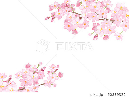 Sakura two corner decorative frame watercolor - Stock Illustration 