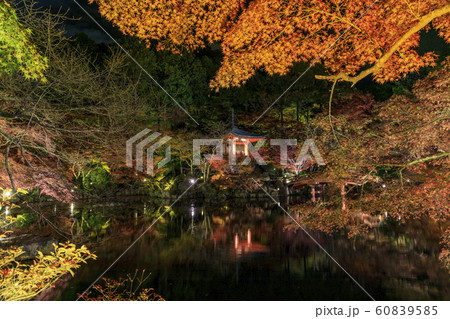 醍醐寺の紅葉ライトアップ 60839585