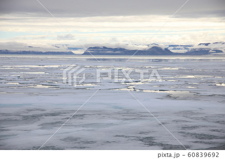 北極圏の海氷（スヴァールバル諸島） 60839692