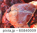 Proves Diagnosis of Cow Heart Disease Find the 60840009