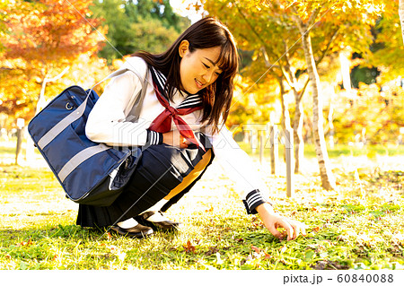 紅葉の季節の女子高生 60840088