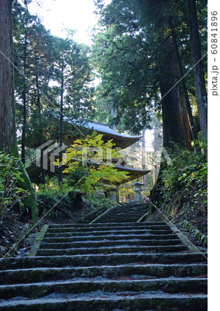 大雄山最乗寺　参道　石段　神奈川県南足柄市 60841896