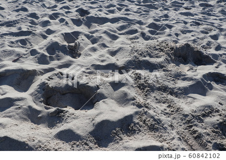 稲毛の浜の白砂 稲毛の浜の白砂 60842102