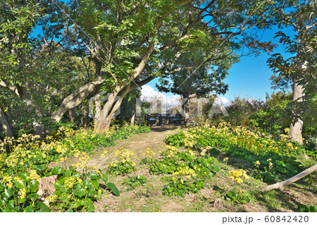 【雑賀崎台場跡】 和歌山県和歌山市雑賀崎 60842420